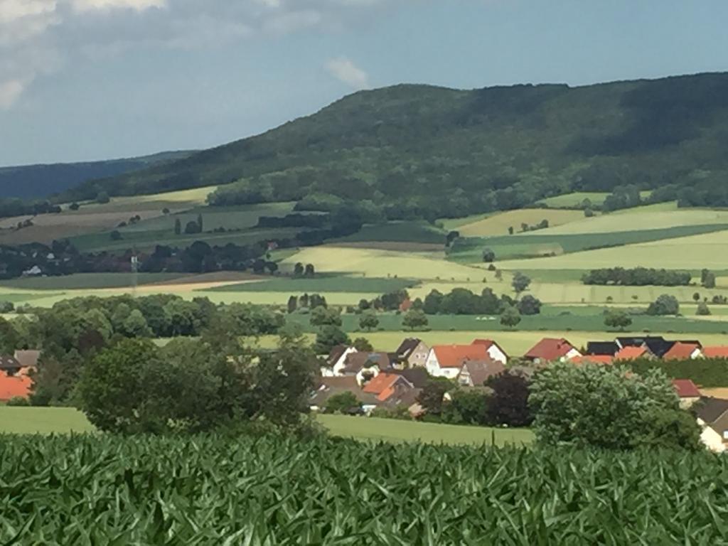 Gaestehaus White Horse Diedersen Coppenbrügge Kültér fotó